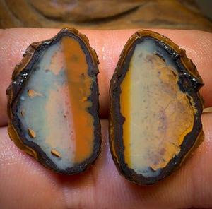 OpalFest Bargain Card! 35.3cts - Yowah Nut Partial Crystal Centre Rough Specimen Pair