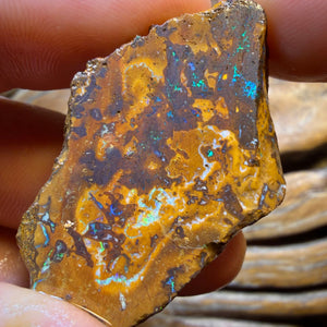 TGIF 307.3cts - 5x Yowah Nut Opal Rough Parcel. Australian Boulder Opal