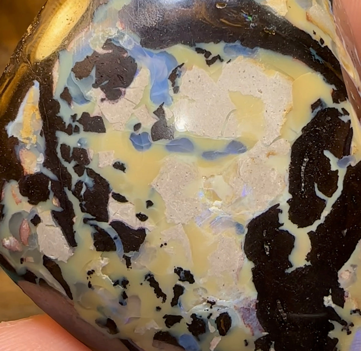 337cts - Australian Boulder Opal White Tribal Specimen Polished - Opal Whisperers