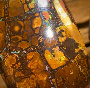 🔨 AUCTION 🔨 Reserve 💎 High Roller Banger Auction 💎 281.9cts - “Thick and Chunky” Large Tribal Yowah Nut Opal