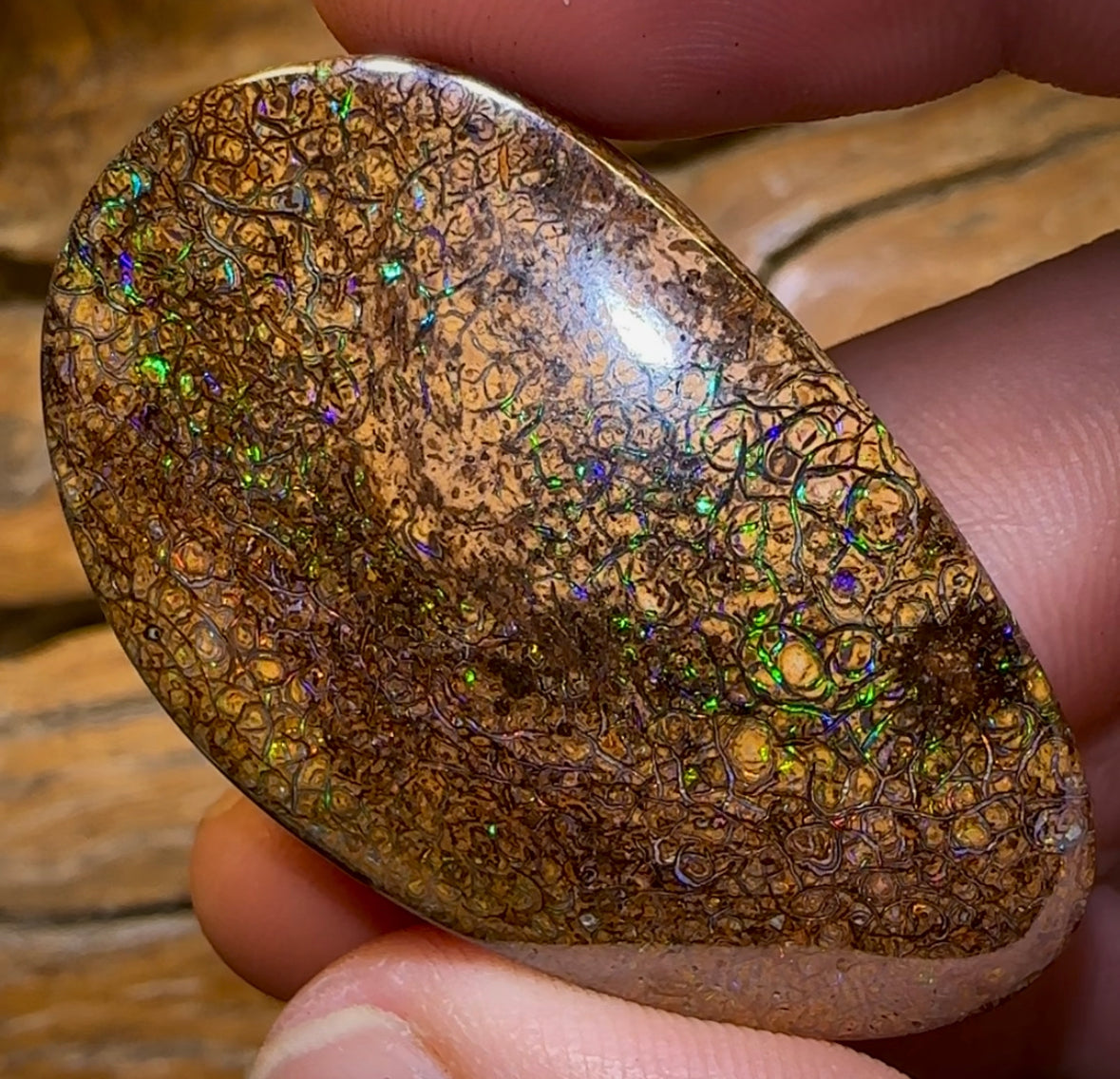 145.5cts - Large Queensland Boulder Opal. Yowah Tribal - Opal Whisperers