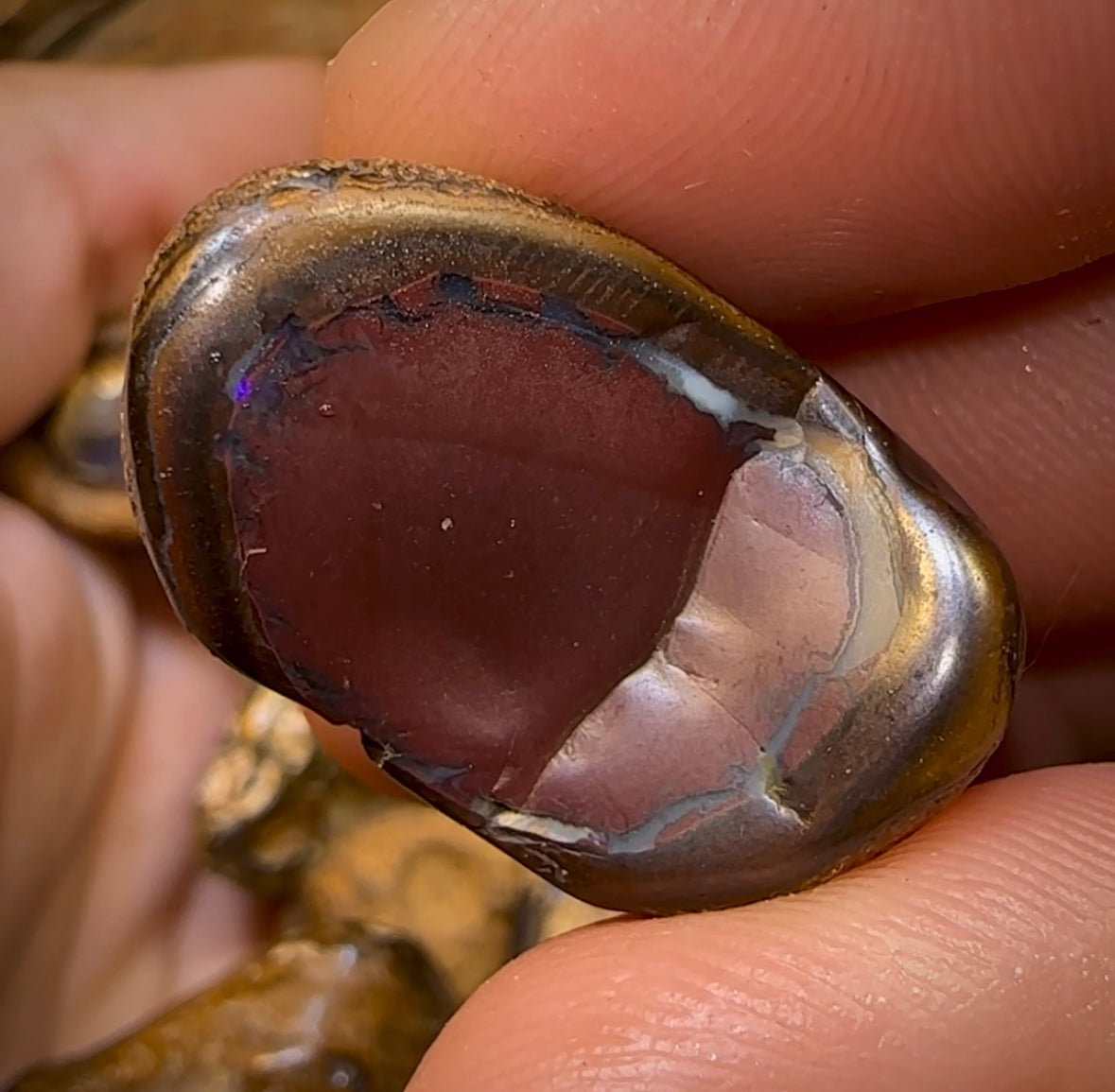 (Template) 143.5g- 10x Queensland Boulder Opal Baroque Specimens - Opal Whisperers