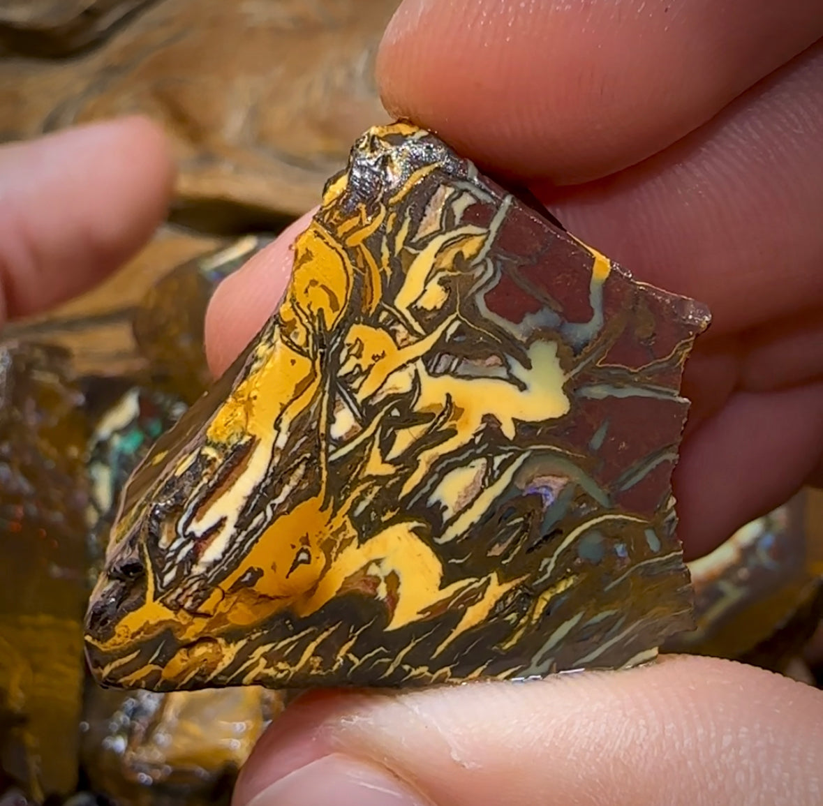 317.9g - 15x Yowah Nut Rough Pieces. Tribal and Crystal Centres Australian Opal - Opal Whisperers