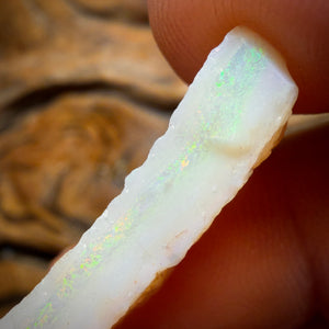 12.2cts - South Australian White Opal Rough Piece