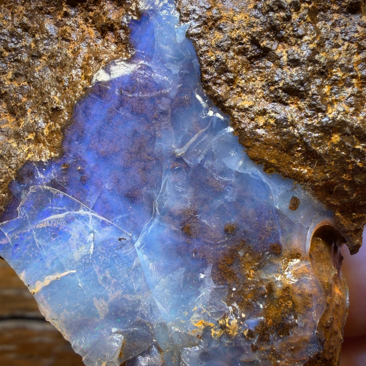 919cts - Queensland Boulder Seam Opal Rough Piece