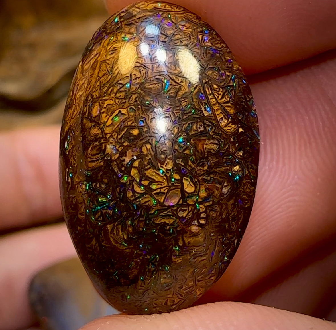 The 123.6cts - 4x Tribal Queensland Boulder Opals. Wholesale Parcel - Opal Whisperers