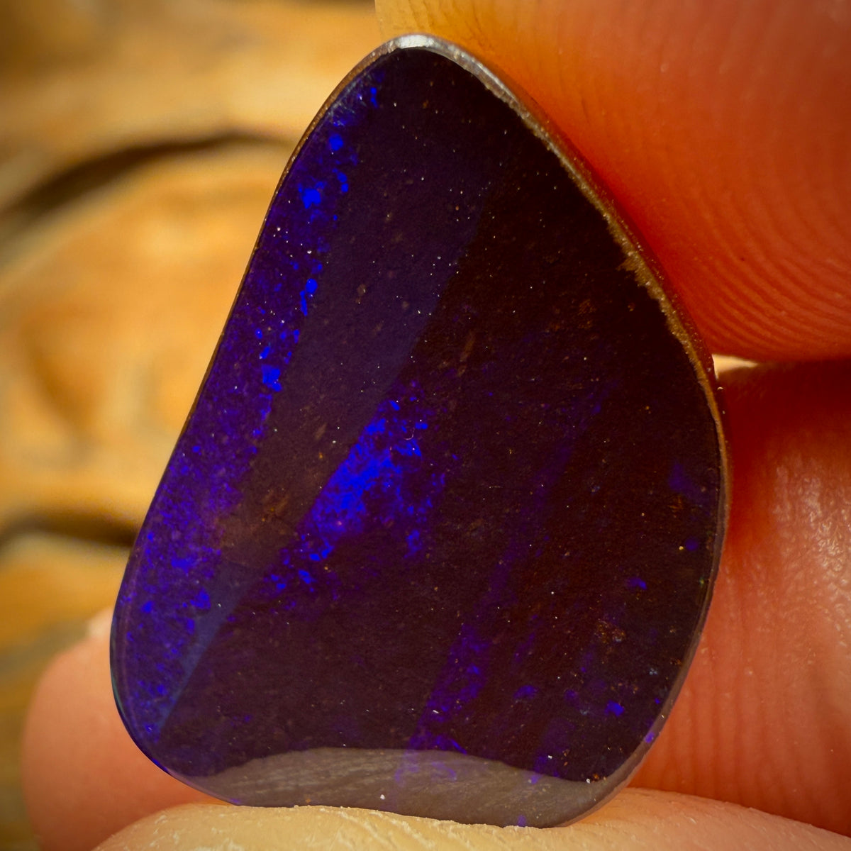 11.1cts - Queensland Boulder Seam Opal