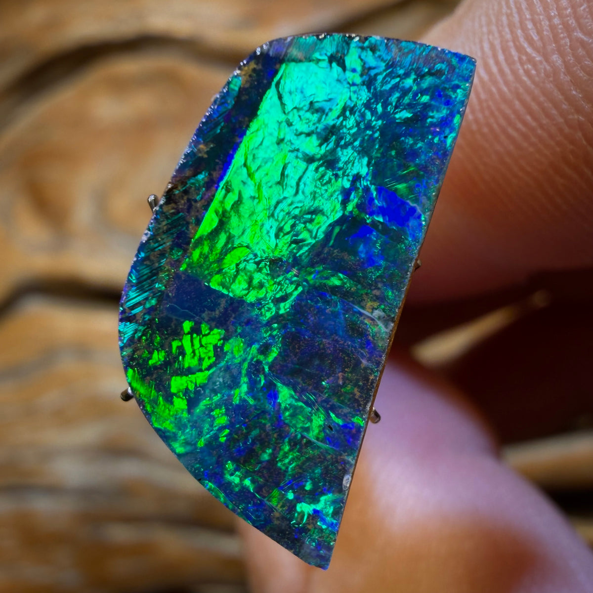 11.1cts - Top Queensland Boulder Seam Opal