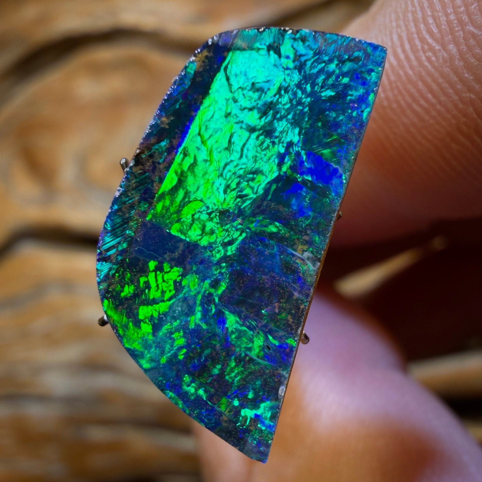11.1cts - Top Queensland Boulder Seam Opal
