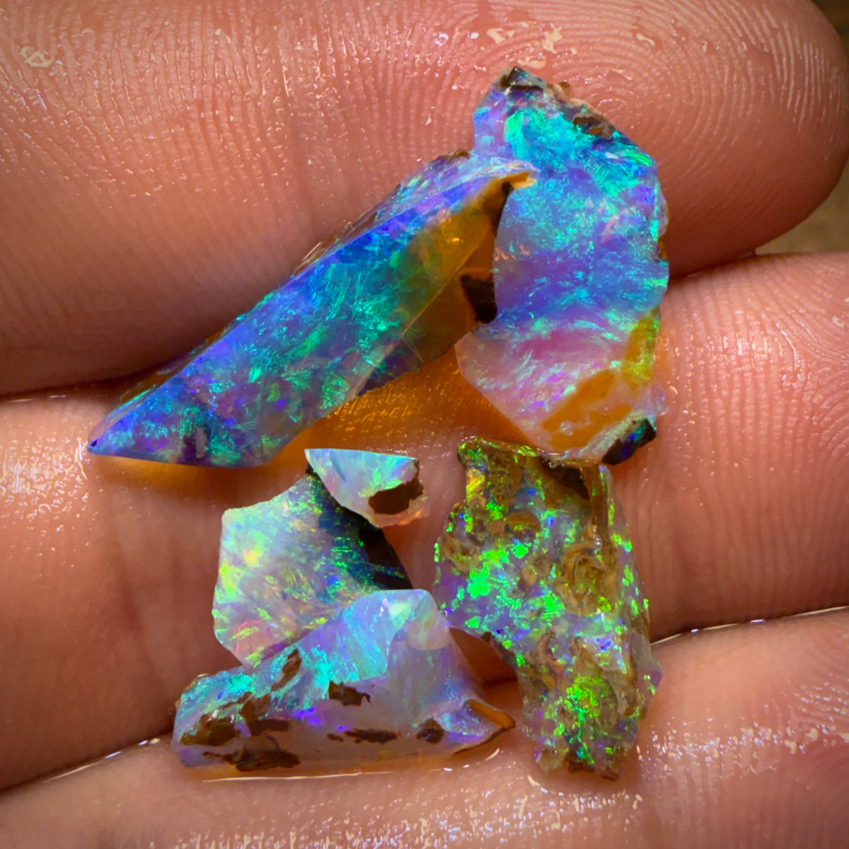 11.2cts - 6x Australian Yowah Wood Crystal Opal Rough Pieces. Highly Prized Material