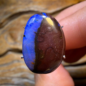 11.2cts - Queensland Boulder Opal from Yowah
