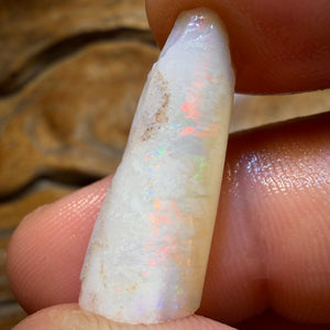 11.8cts - Opalised Belemnite Geological Specimen from South Australia