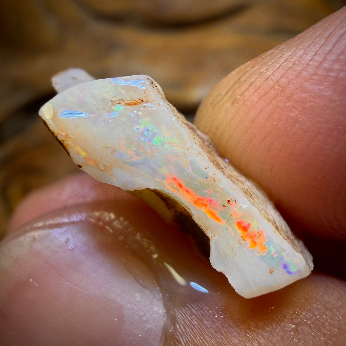 11.9cts - South Australian White Opal Rough Piece