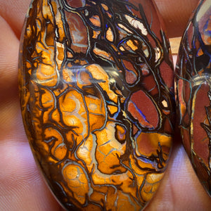 156.2cts - Partners Pair 2 x Tribal Queensland Boulder Opals