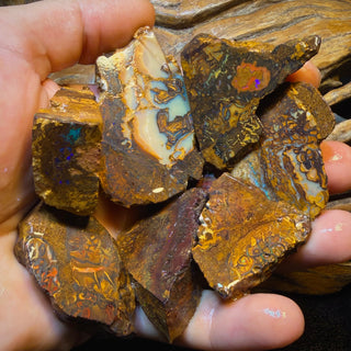 1118cts - 7x Koroit Nut Tribal Opal Rough Parcel. Australian Boulder Opal