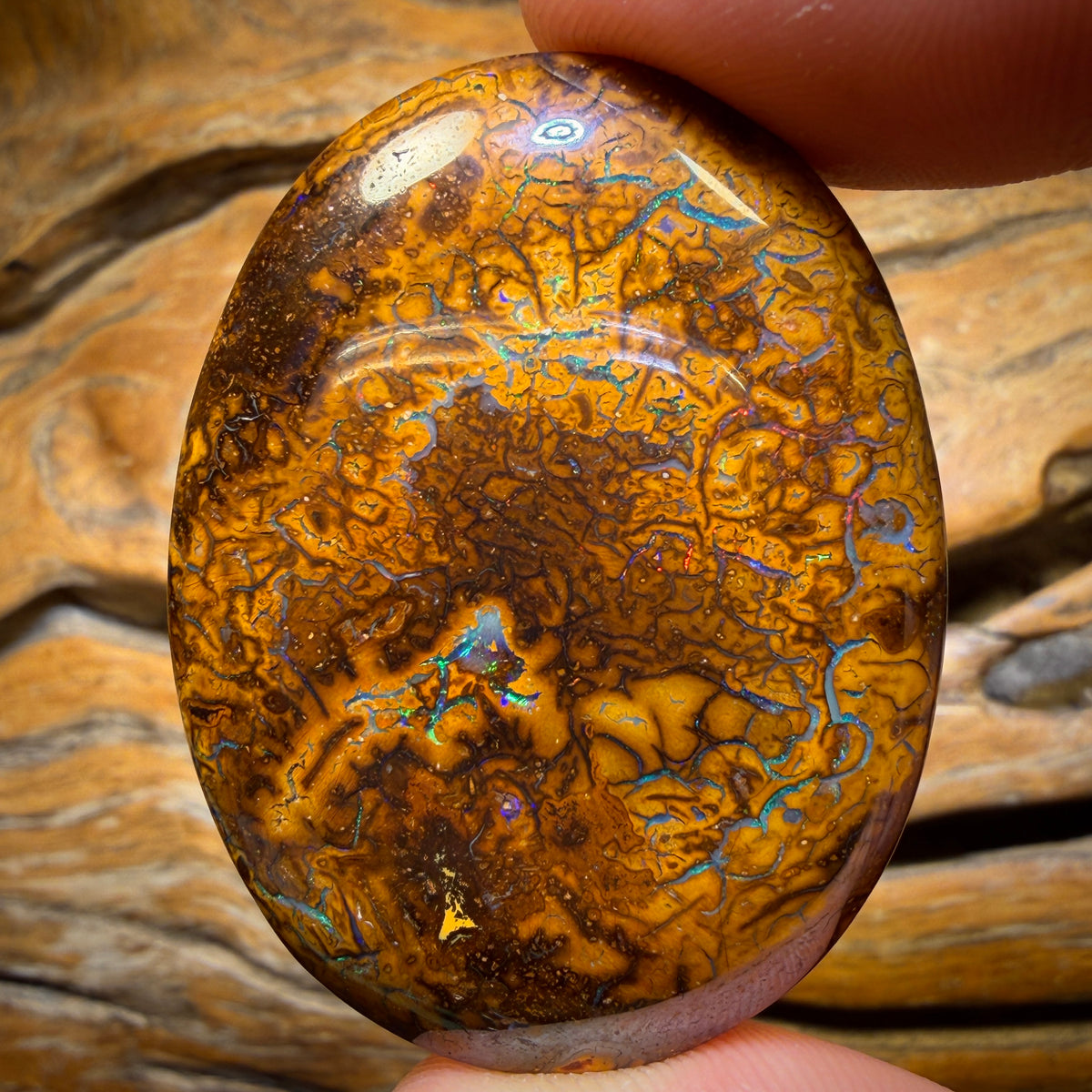 113.4cts - Tribal Yowah Nut Opal. Australian Opal