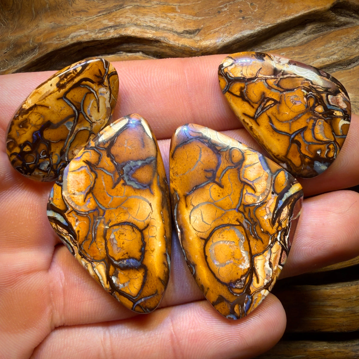 113.6cts - Yowah Nut Tribal Family Parcel. Australian Opal