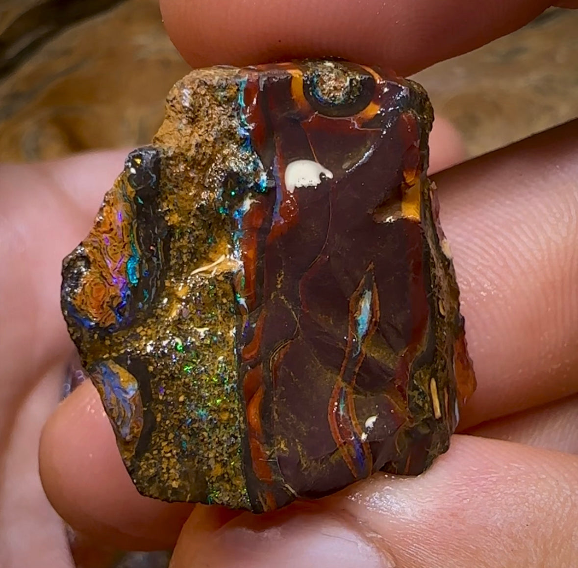 209.8cts - 3x Yowah Nut Rough Pieces. Australian Boulder Opal - Opal Whisperers