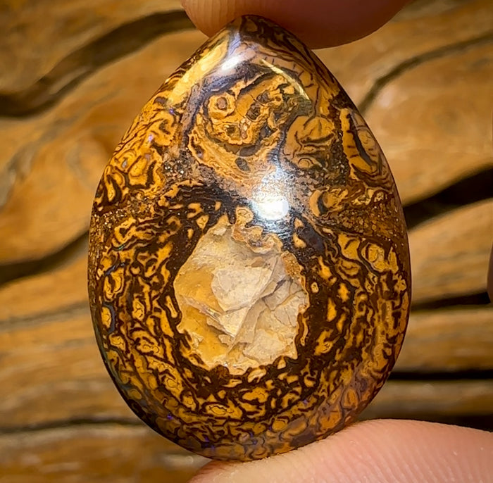 🔨 AUCTION 🔨 39.1cts - Yowah Nut Crystal Centre Opal. Australian Boulder Opal