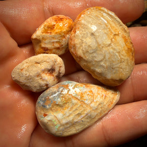 114.8cts - 4x Opalised Fossil Shell Specimens. Featured on ‘Outback Opal Hunters’!