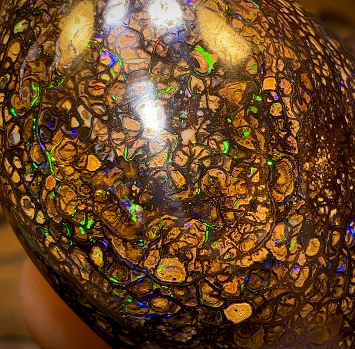 97.6cts - Large Thick Double Sided Tight Tribal Queensland Boulder Opal from Yowah