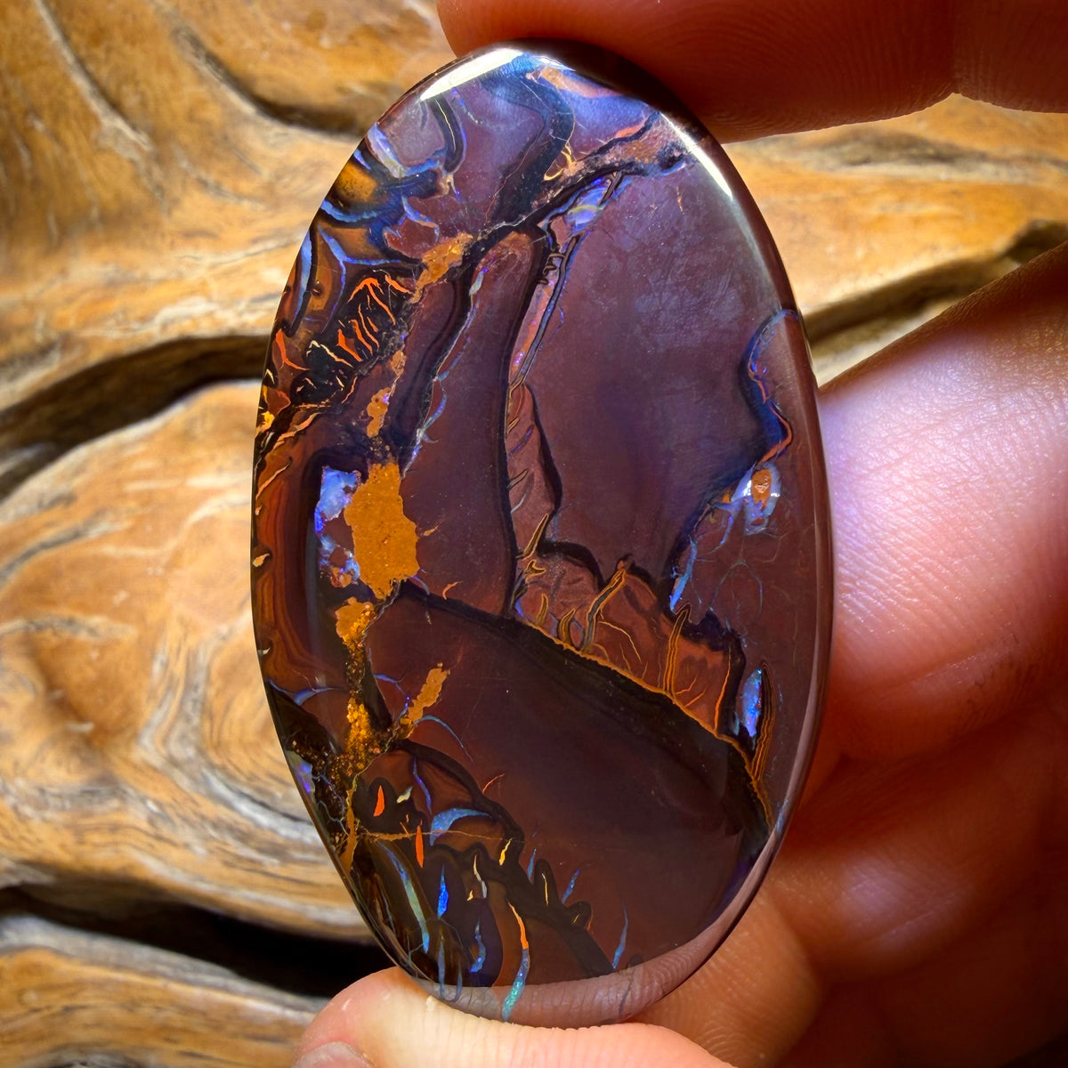137,9 Karat - Stammes Boulder-Opal aus Yowah, Queensland
