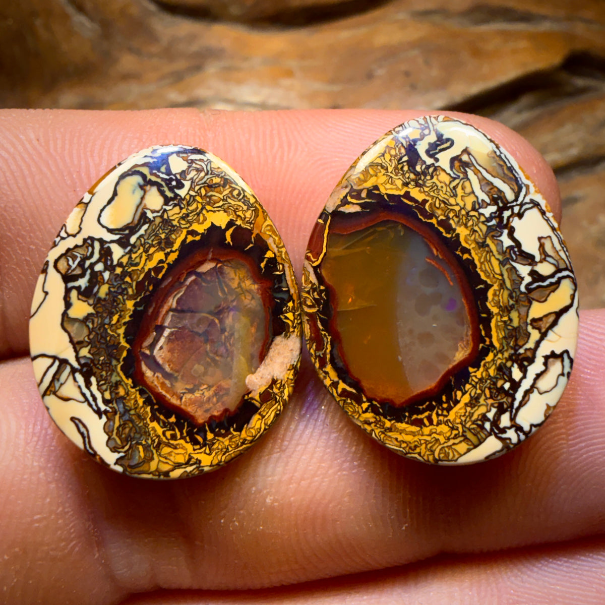 Auktion Nr. 36.1cts – Yowah-Nuss-Stammes-/Kristallzentrum-Opal-Paar