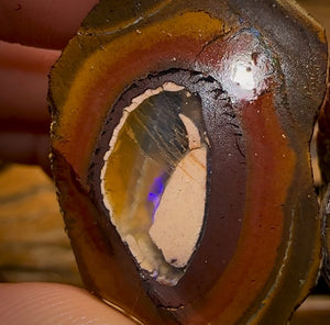 202.4cts - Big Yowah Nut Crystal Centre Rough Pair BARGAIN