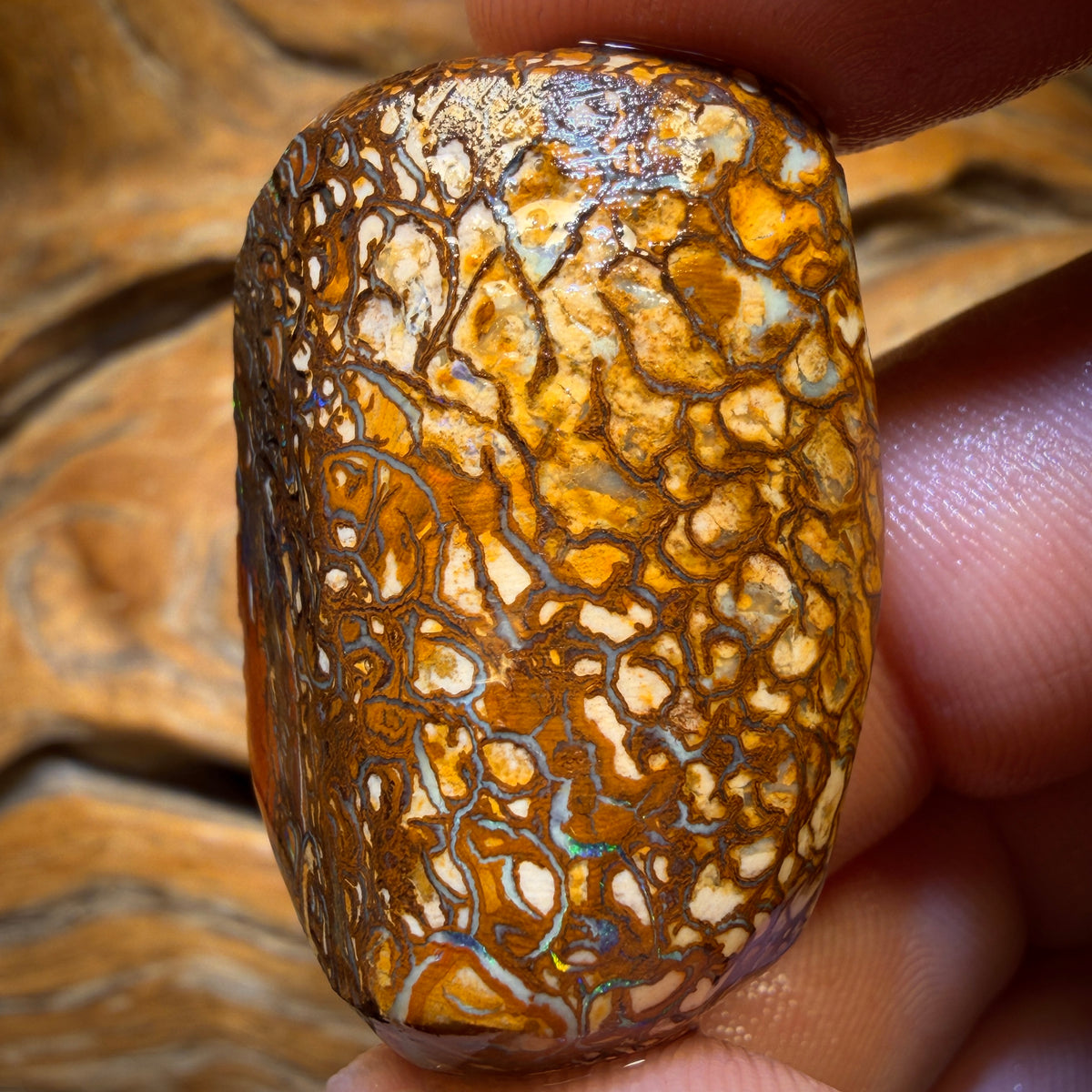 118.6cts - Tribal Yowah Nut Opal Rough Piece