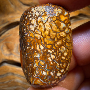 118.6cts - Tribal Yowah Nut Opal Rough Piece