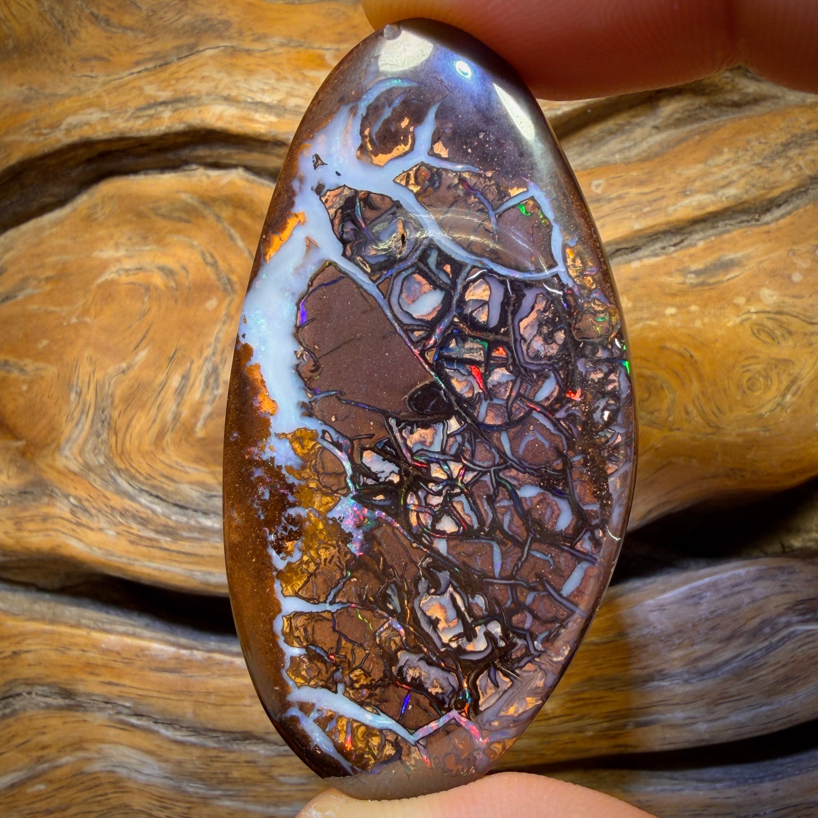 119.9cts - Large Tribal Yowah Nut Opal. Australian Boulder Opal