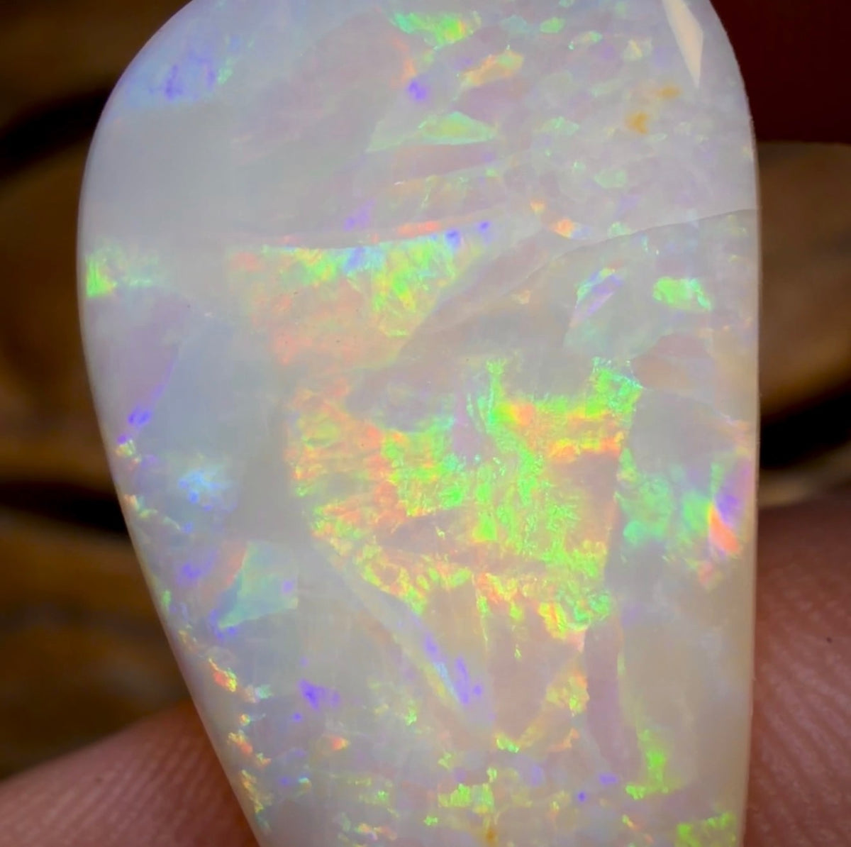 🔨 AUCTION 🔨 Reserve 💎 High Roller Banger Auction 💎 18.1cts - South Australian White Opal