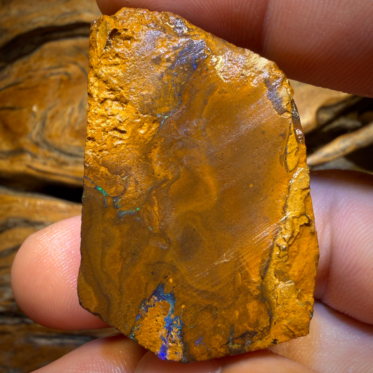 TGIF 237.7cts - Tribal Yowah Nut Opal Rough Preform Rub
