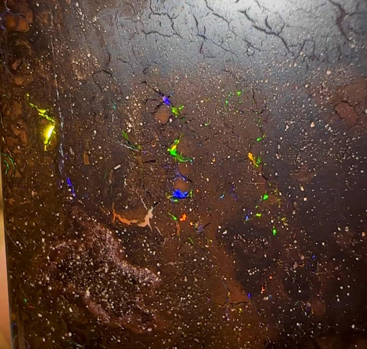 27.3cts - Queensland Boulder Opal - Opal Whisperers