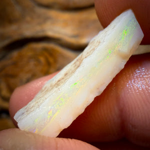 12.2cts - South Australian White Opal Rough Piece
