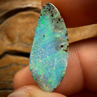 12,2 cts - Opale à veine de roche de Queensland, motif de récif, grande taille