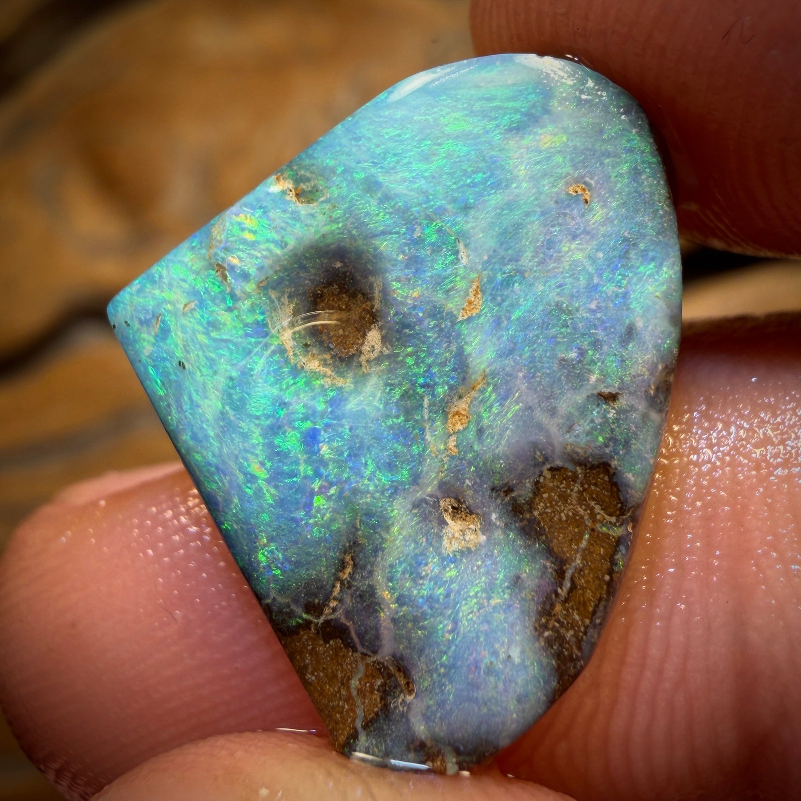 12.4cts - Queensland Boulder Seam Opal Rub