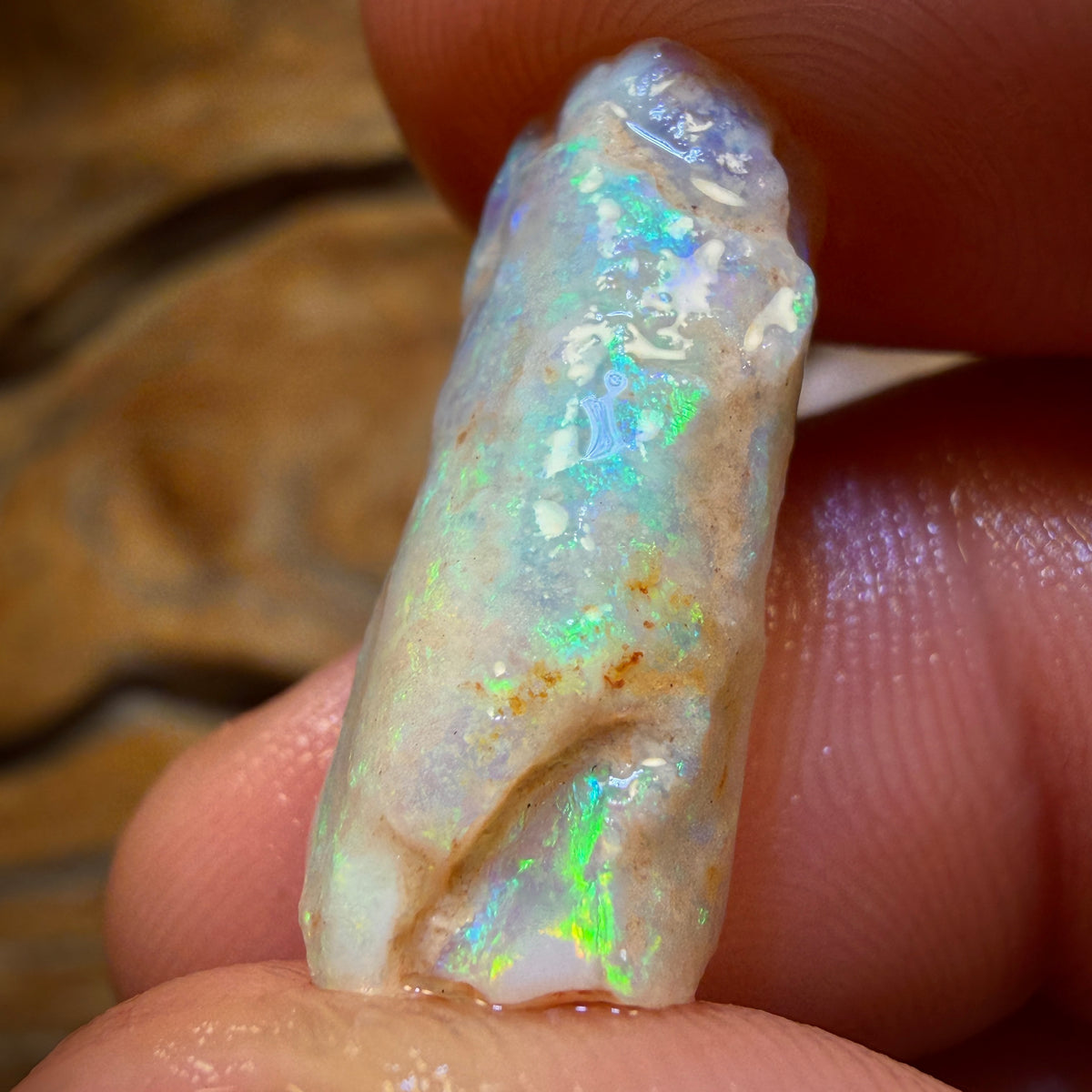12.6cts - Opalised Belemnite Geological Specimen from South Australia