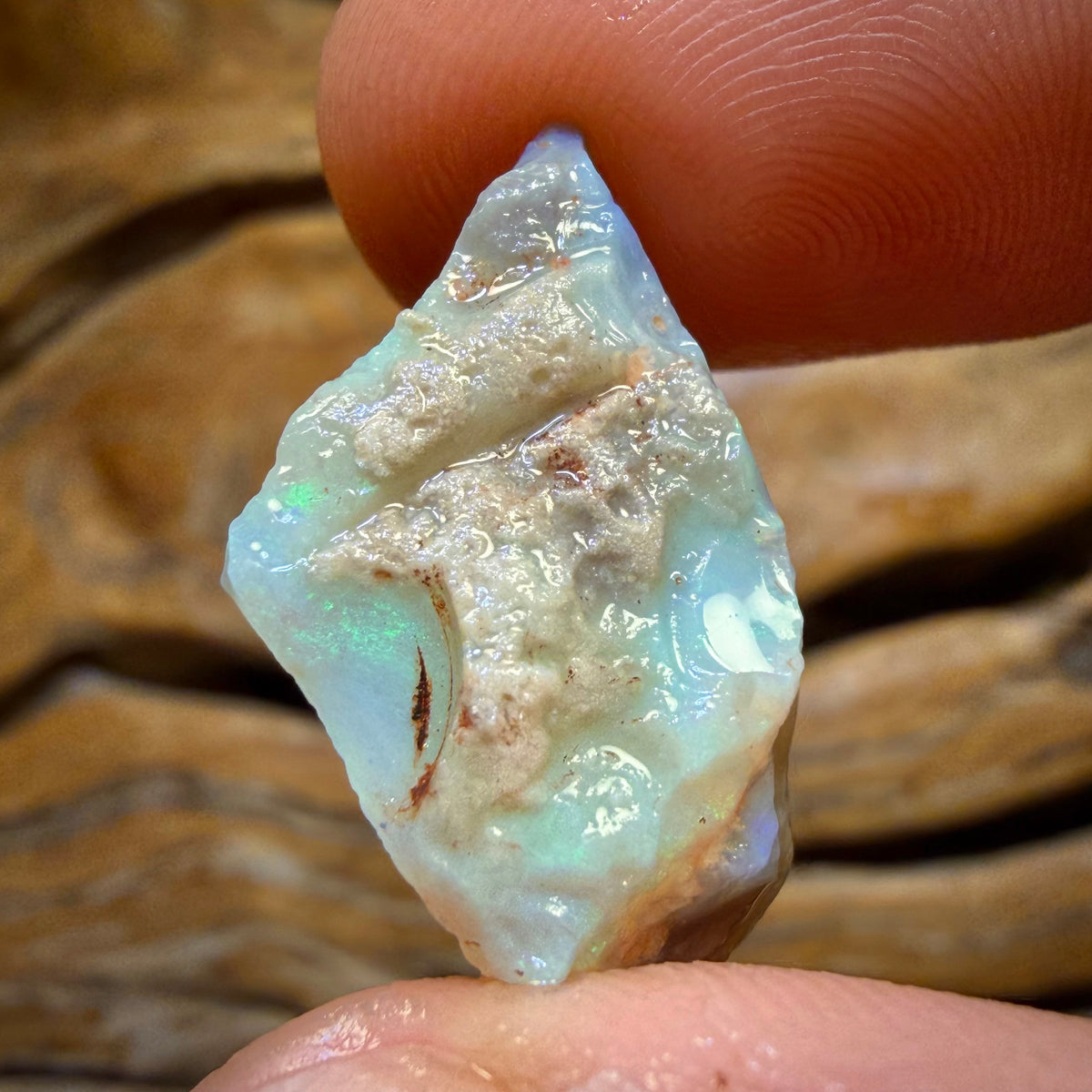 12.7cts - Lightning Ridge Dark Opal Rough Piece