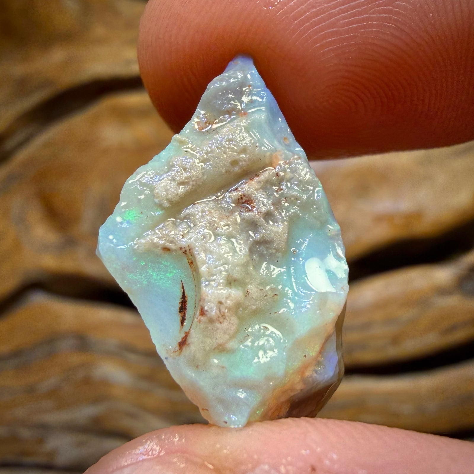 12.7cts - Lightning Ridge Dark Opal Rough Piece
