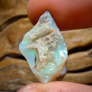 12.7cts - Lightning Ridge Dark Opal Rough Piece