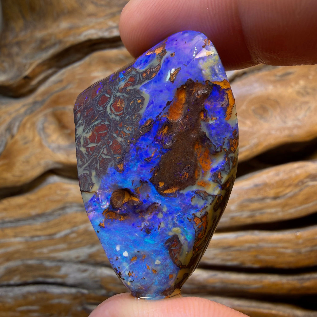 121.9cts - Tribal Yowah Nut Opal Rough Rub