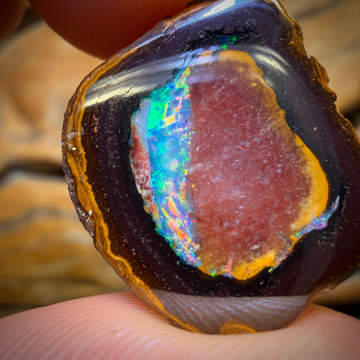Collectors Card ! 46.9cts - Yowah Nut Partial Crystal Centre Opal Pair Polished