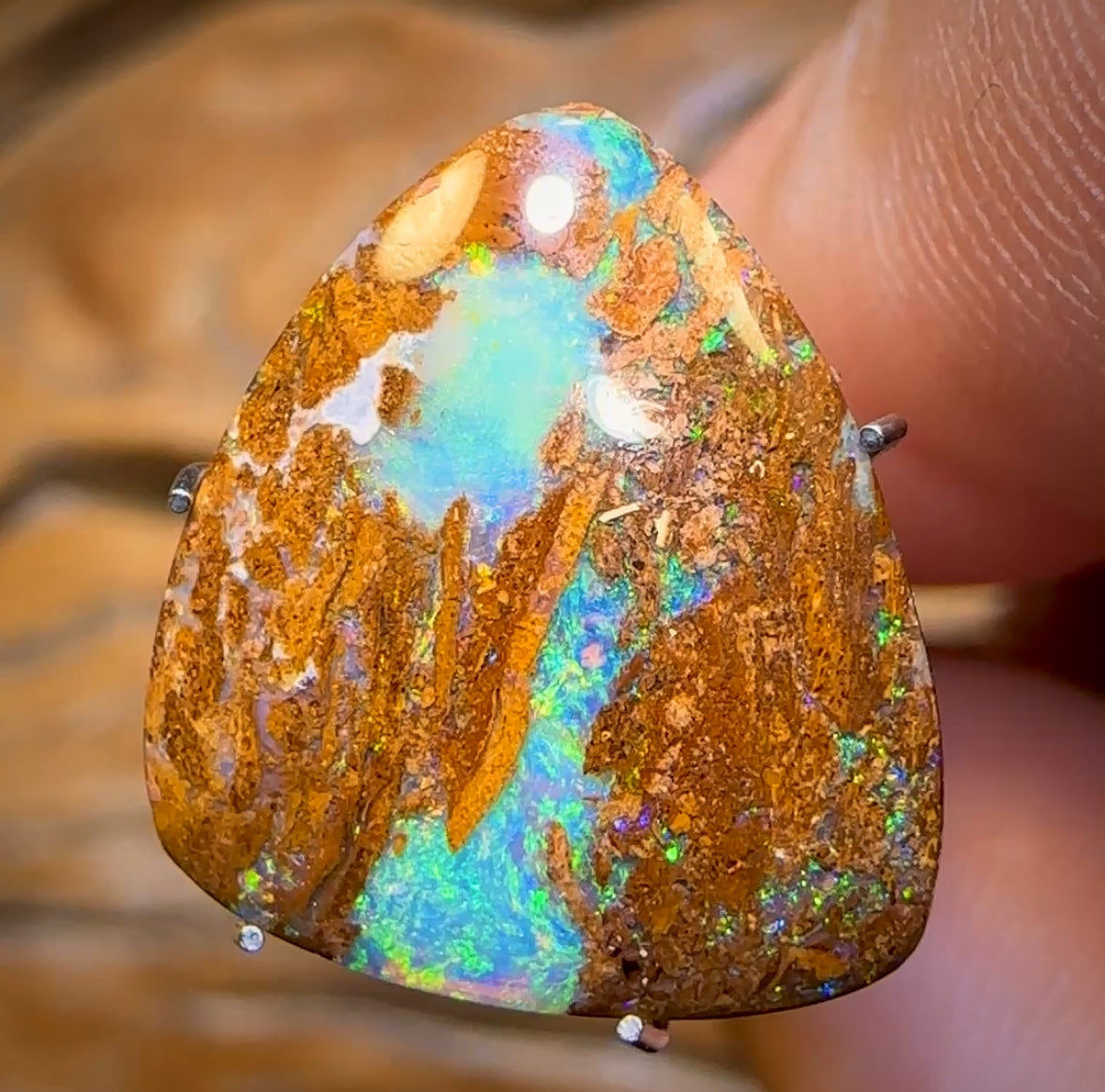 4.9cts - Australian Boulder Pipe Opal from Yowah