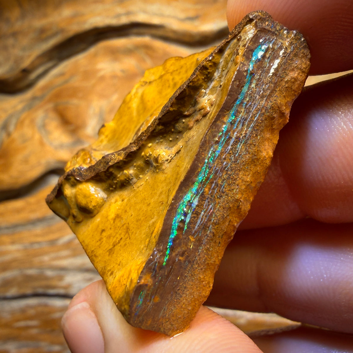 124cts - Yowah Opal Rough Piece. Biscuit Band