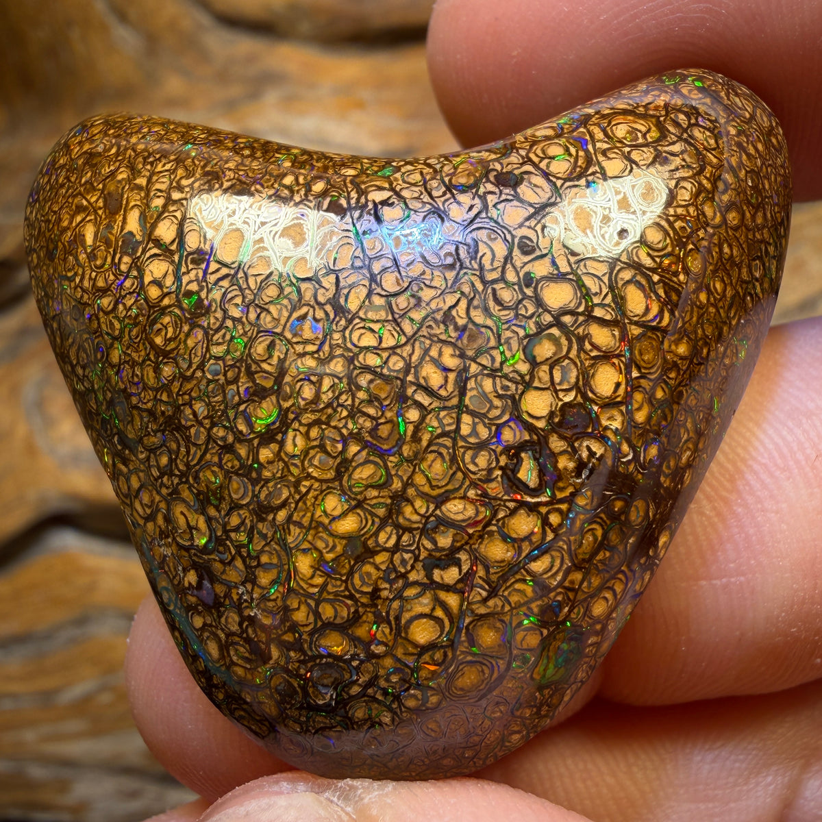 125.3cts - Top Tan Tribal Queensland Boulder Opal from Yowah