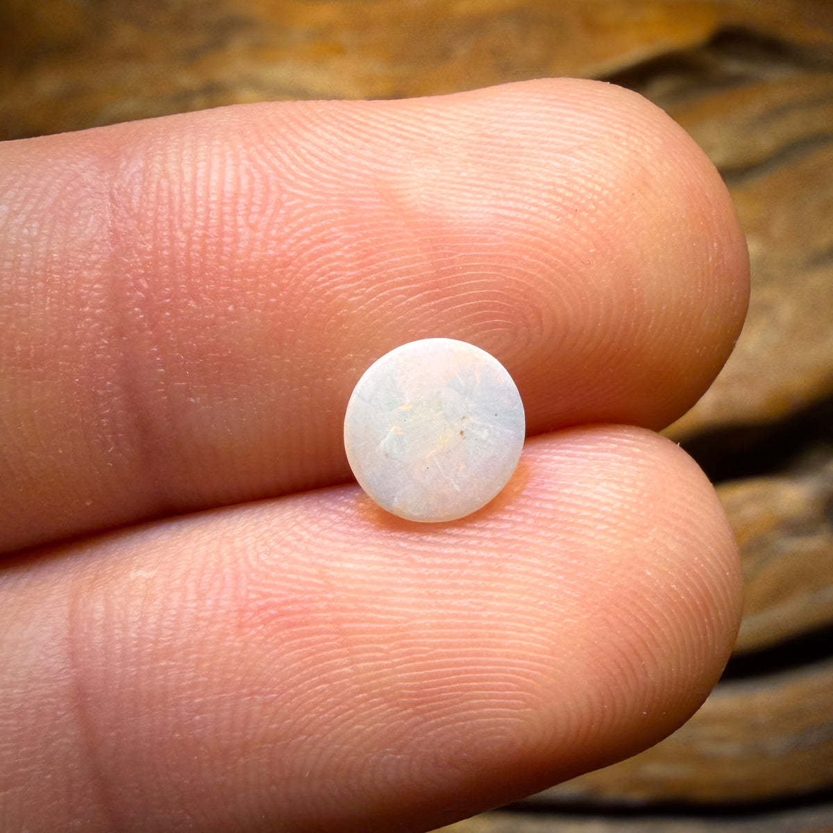 Bargain Card! 0.6cts - South Australian White Opal from Coober Pedy