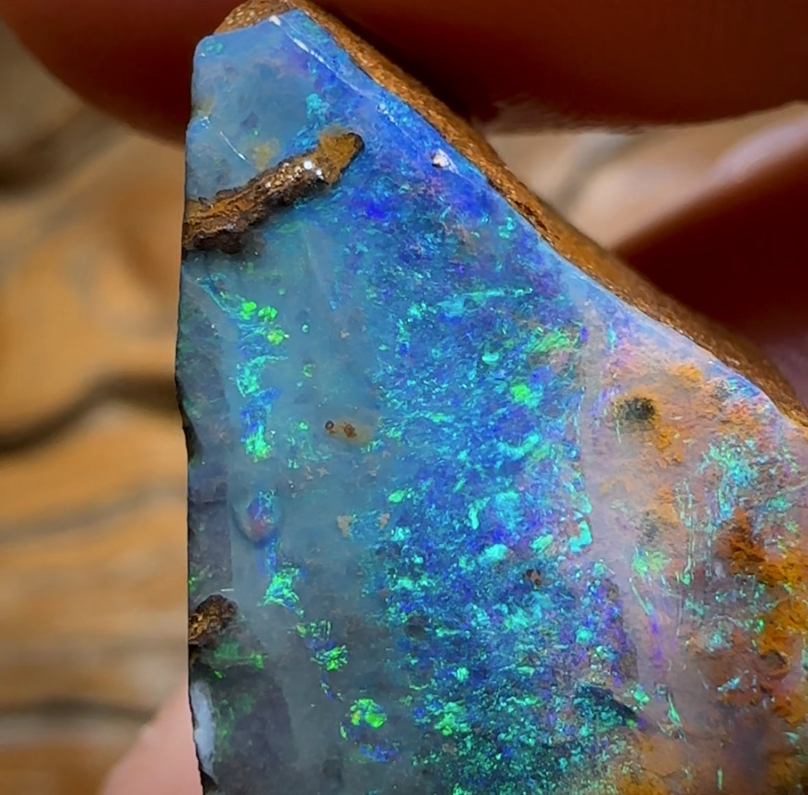 61.5cts - Queensland Boulder Seam Opal Rub
