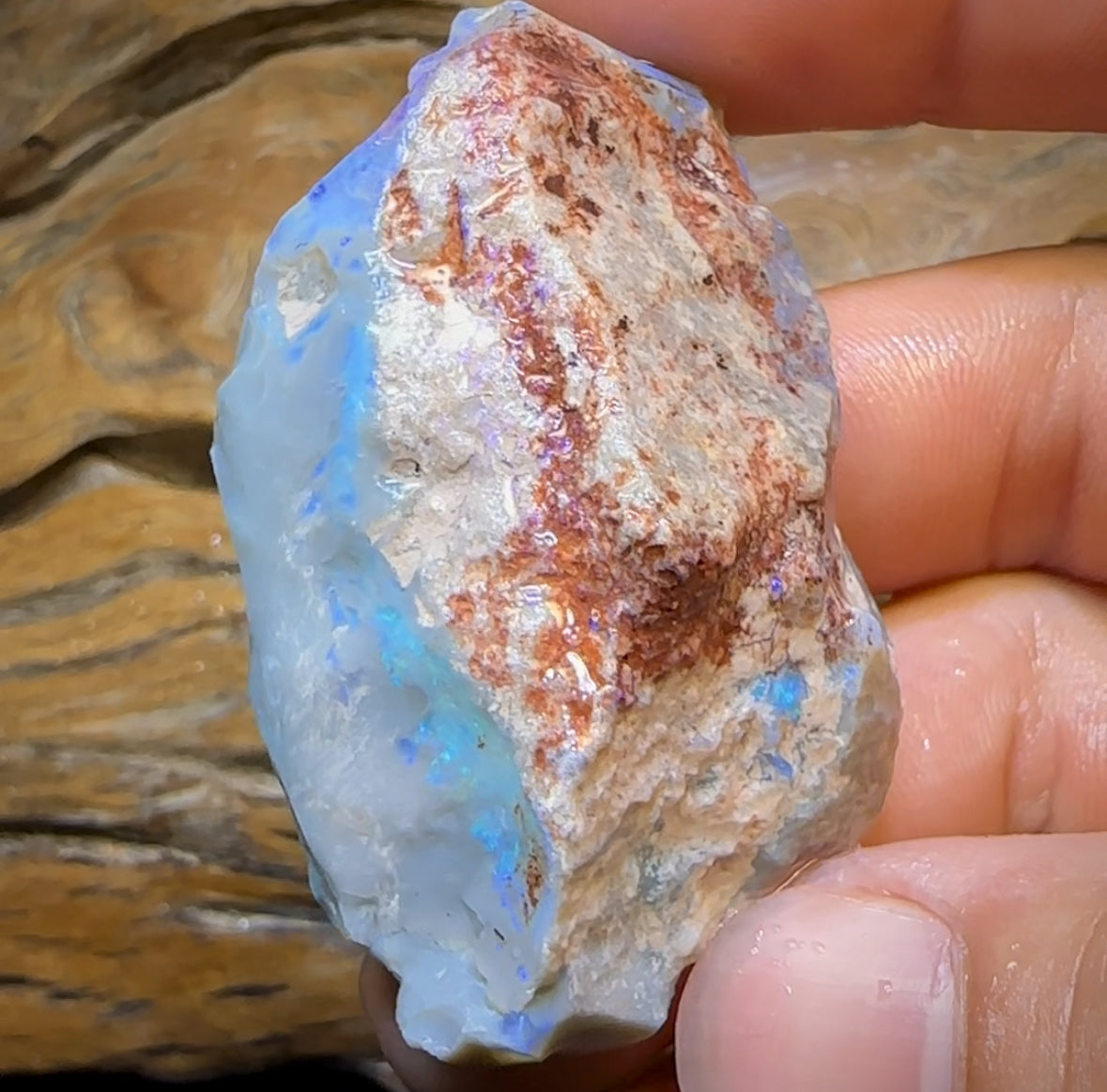 186.8cts - Large Lightning Ridge Opal Rough Piece. GEM Cutter!