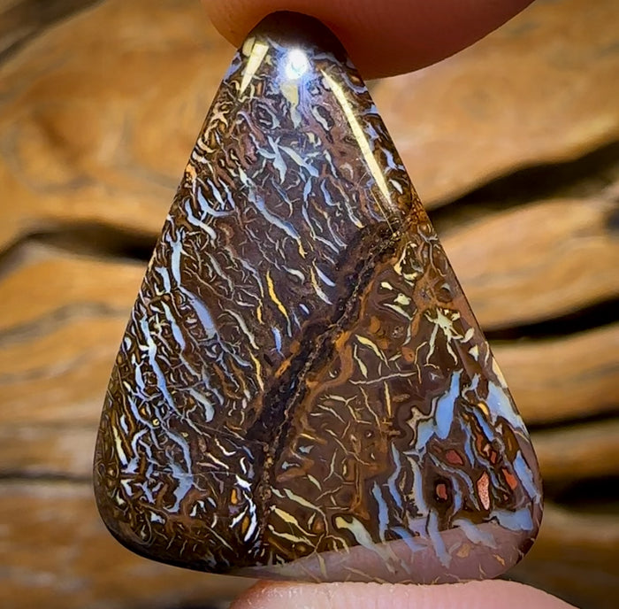 Auktion lose 22,6ct – „Deep Forrest’s Fears“ Stammes-Queensland-Boulderopal-Bildstein